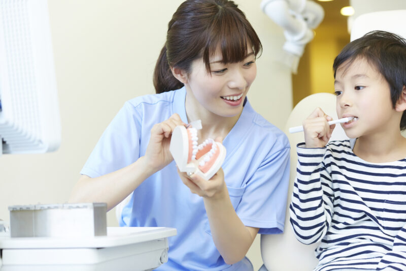 先輩スタッフの声