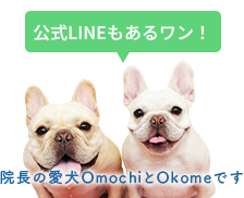 公式LINEもあるワン！