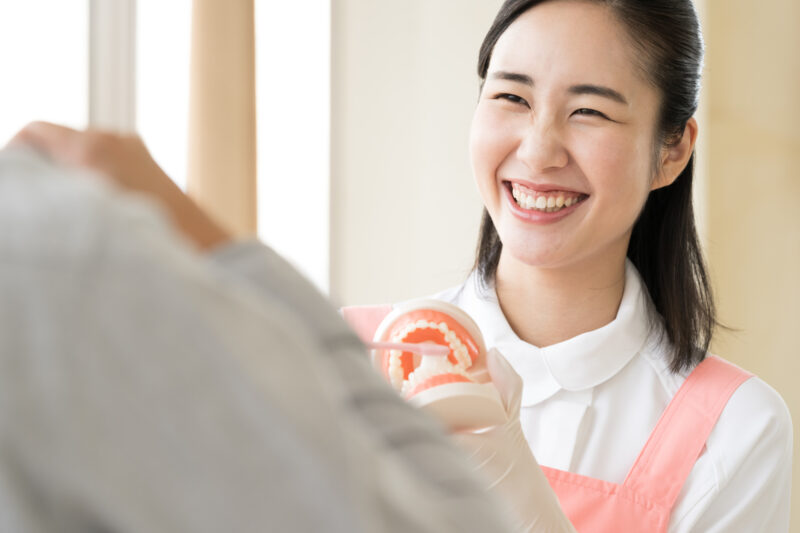 先輩スタッフの声